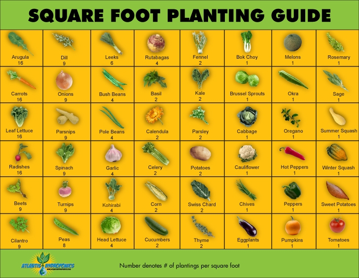 Square Foot Gardening A Garden For Everyone Atlantis