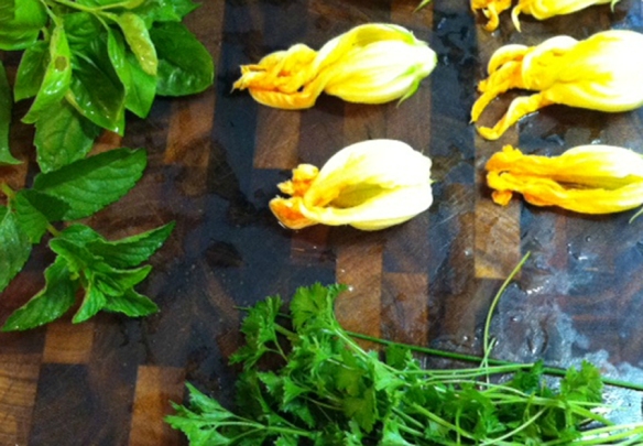 Summer Herbs and Squash Blossoms Fresh From the Garden